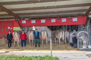 76 CORELLA CH 120.1279.8320.7 Hcki Josef IMGL5110